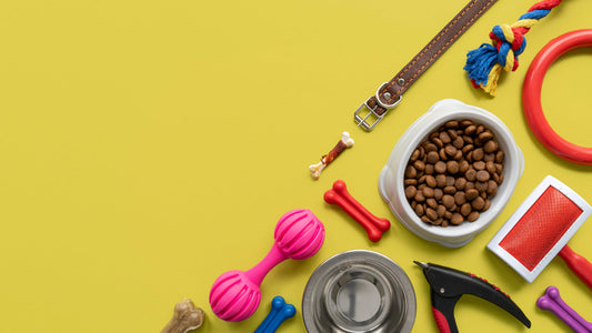 5 Signs Your Cat Needs a New Toy (And How to Pick the Right One)