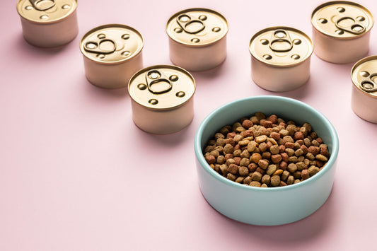 Bowl of dog kibble; Puppy eating Optimizor food; Dog with shiny coat enjoying meal.