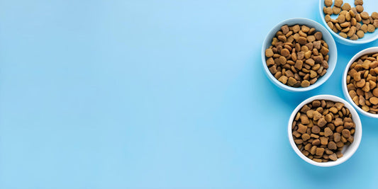 The Ultimate Guide to Choosing the Right Food for Your Dog