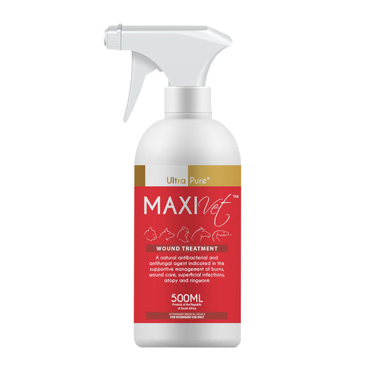 Maxivet Antibacterial Solution for Small Animals – 500ML